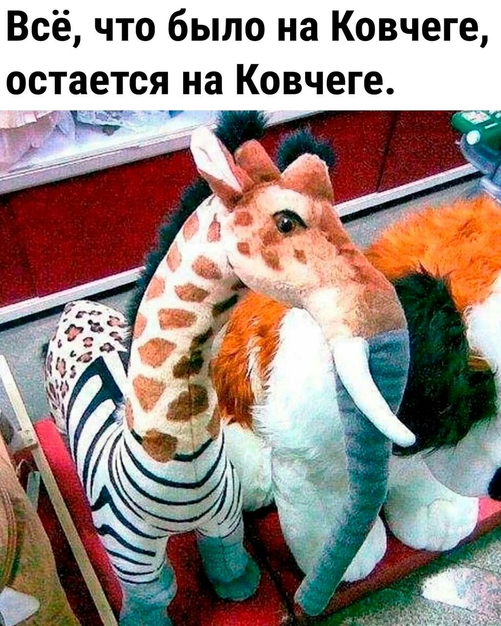 Всё что было на Ковчеге ОСТЗЕТСЯ на Ковчеге