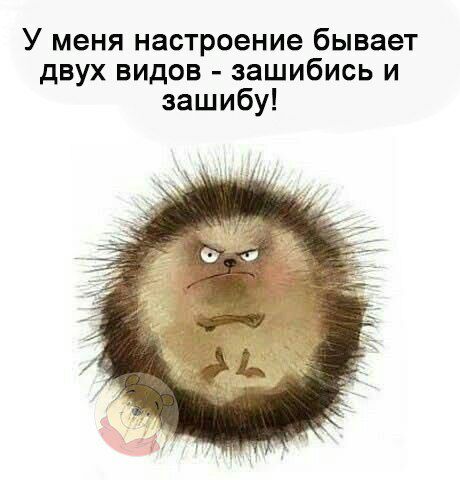 У меня настроение бывает двух видов зашибись и зашибу