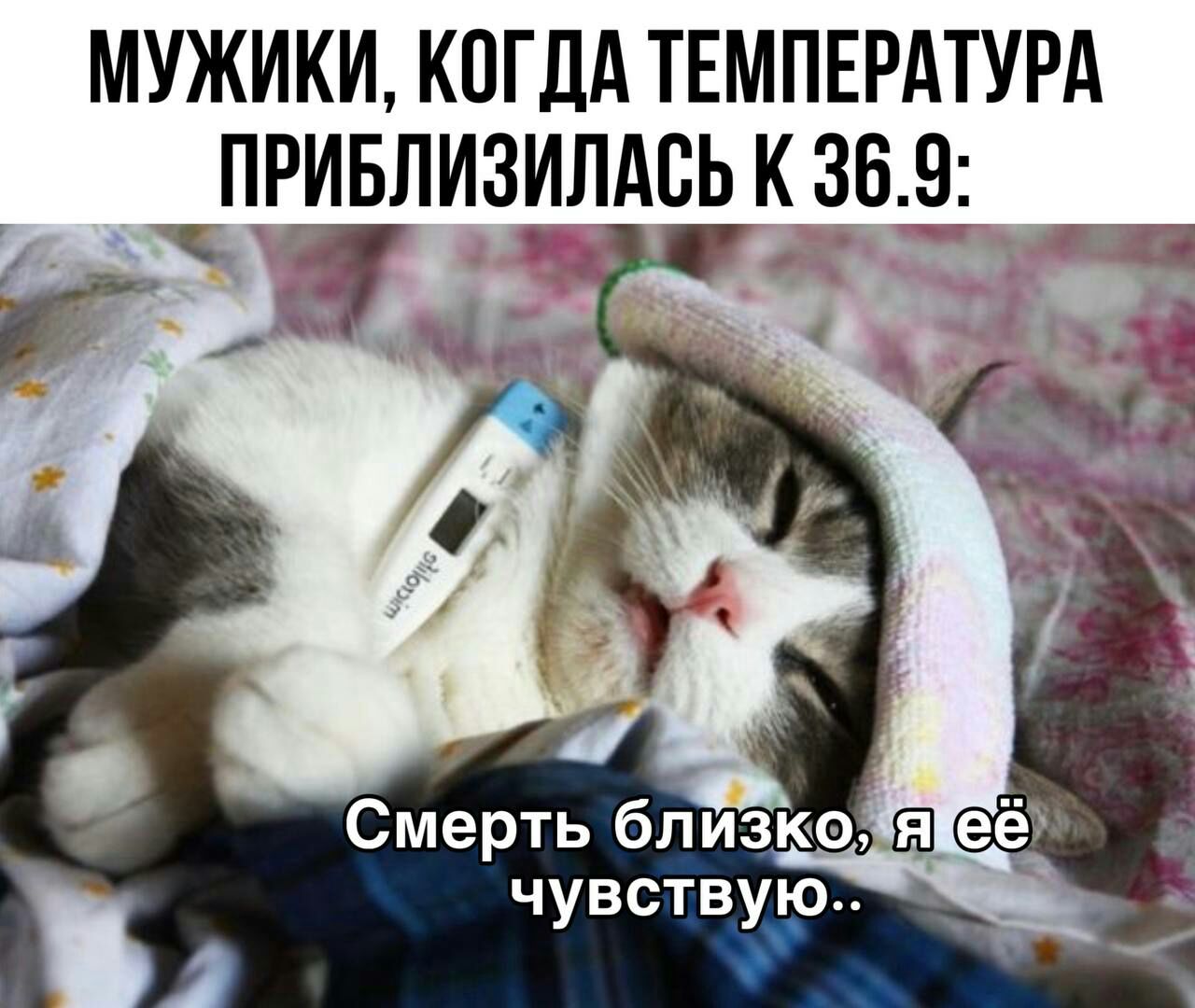 МУЖИКИ КОГДА ТЕМПЕРАТУРА ПРИБЛИЗ_ИЛАБЬ К 369 чувствую А