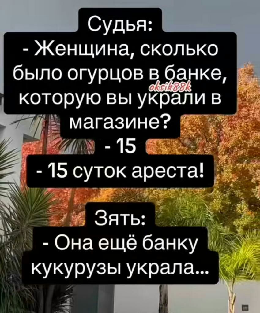 Судья Женщина сколько было огурцов в Ёагке которую вы украли в Ё магазине ИМ Ё 15 П 15 суток ареста 3 Зять _ Она ещё банку кукурузы украла