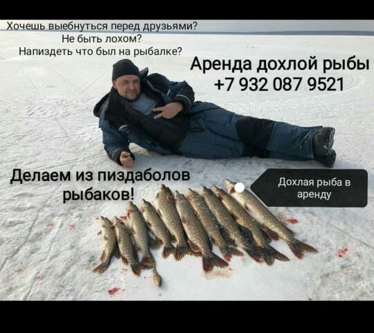 Хочешь иысбнугьси перед друзьями ни п Ндпиздеть чт вып нд вшита Аренда дохпой рыбы 7 932 087 9521 делаем из пи слов дпкпачрышв рываіъ