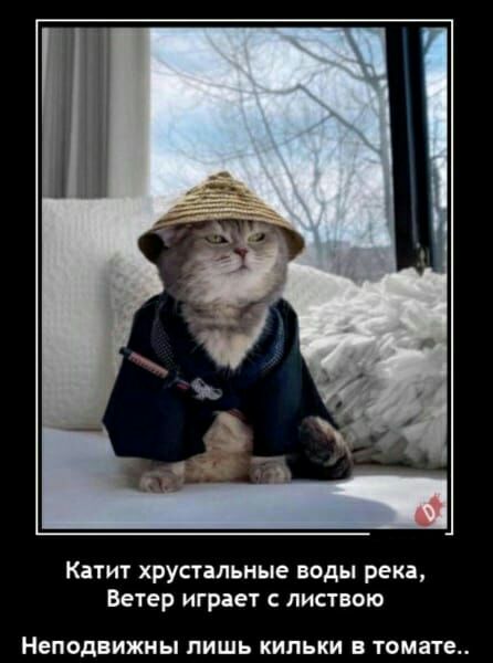 Катит хрустыьные воды река Ветер играет листвсю Неподвижиы ЛИШЬ КИЛЬКИ томате