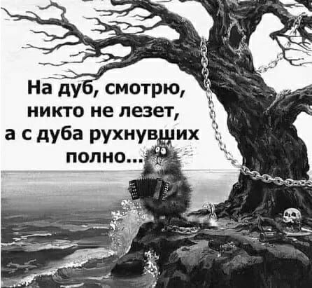 Нідуб смотрю НИКТО не лезет а с дуба рухнув _ их