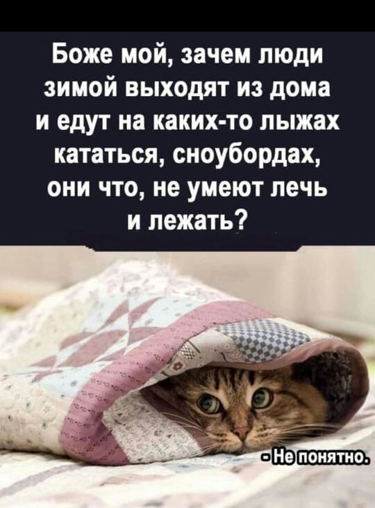 Боже мой зачем люди зимой выходят из дома и едут на каких то лыжах кататься сноубордах они что не умеют печь и лежать