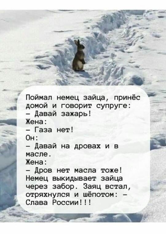 Поймал немец зайца принёс домой и говорит супруге давай захарь Жена Газа нет Он давай на дровах и в наспеА Жена дров нет масла тоже Немец выкидывает зайца через забор Заяц встал Ц шряхиупся и шёпотом _ Слава России1