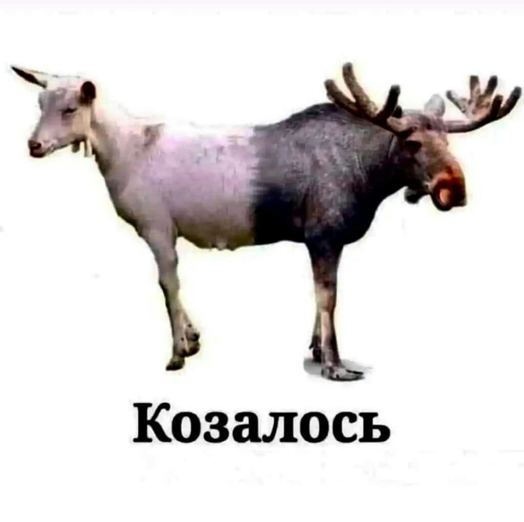 Казалось