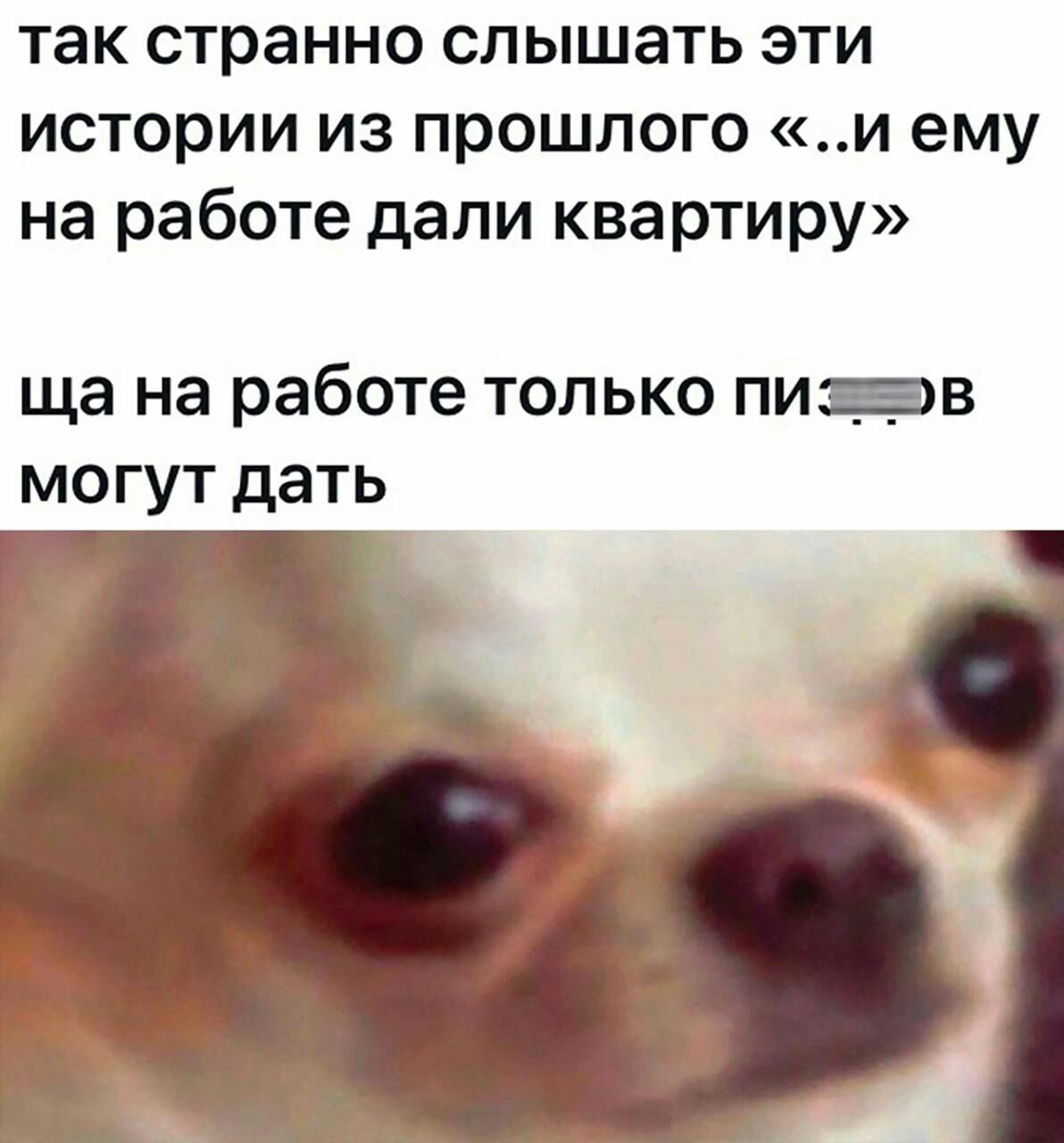 так странно слышать эти истории из прошлого и ему на работе дали квартиру ща на работе только пирв могут дать