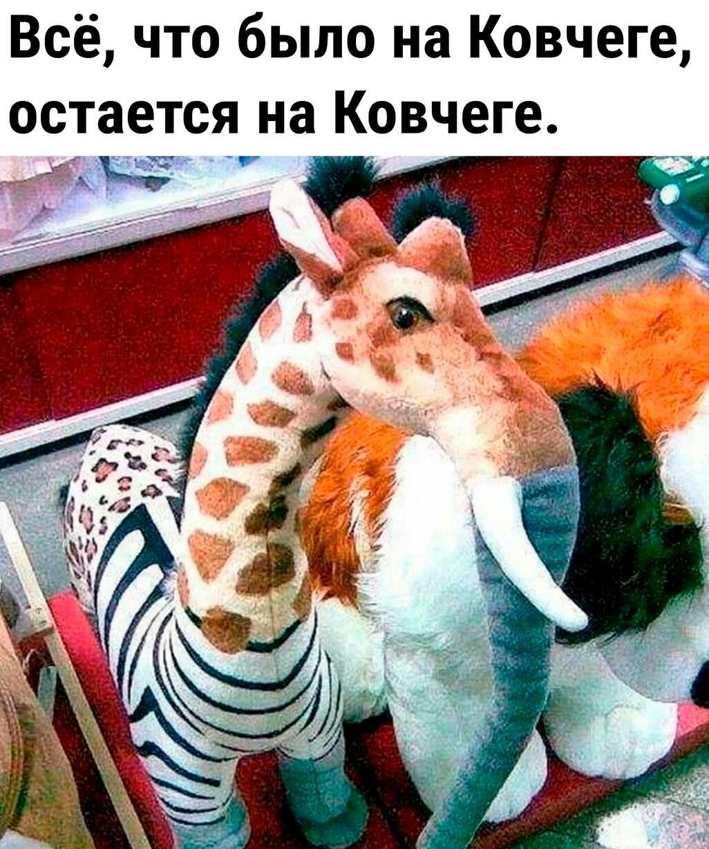 Всё что было на Ковчеге ОСТЗЕТСЯ на Ковчеге