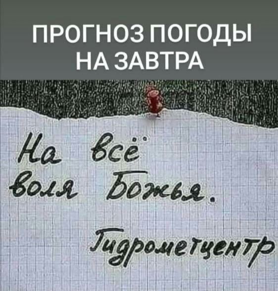 ПРОГНОЗ ПОГОДЫ НА ЗАВТРА да Ёсё года Йжл дЭ0487118