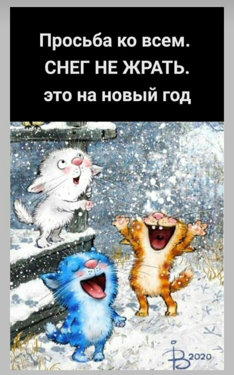_ш и ж Е н г Е Н с ЭТО на НОВЫИ ГОД м е с в о к а б ь с 0 Р П