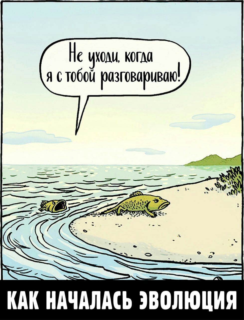 Не оходы когда я стобой разговариваю КАК НАЧАЛАСЬ ЭВОЛЮЦИЯ