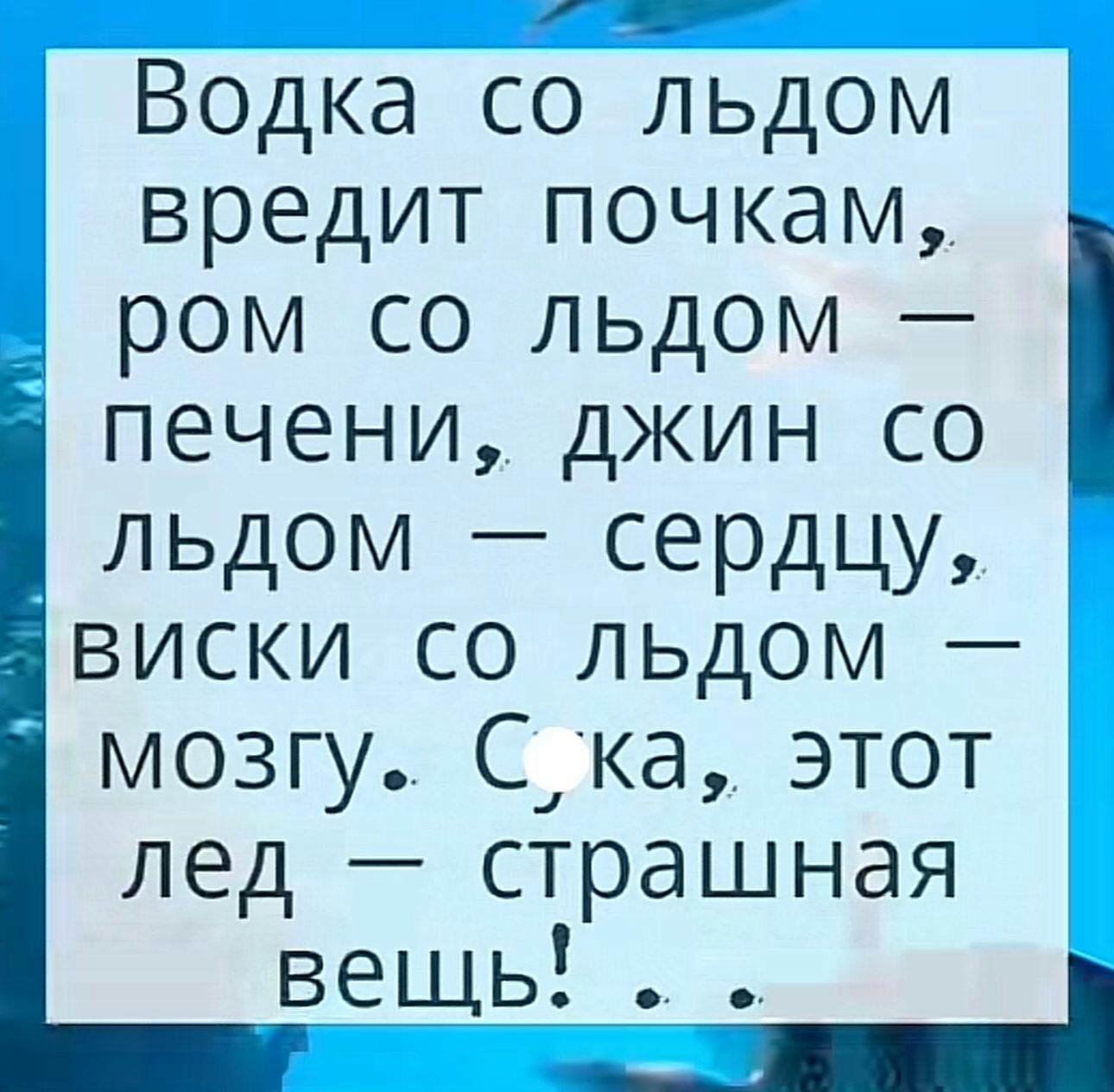 Водка со льдом вредит почкам ром со льдом печени джин со льдом сердцу виски со льдом мозгу Сдка этот лед страшная вещь