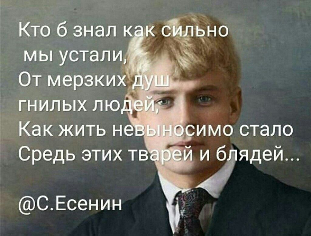 Кто б знал мы устали От мерзки гнилых лю имо стало Средь этих тв и бдітядей СЕсенин