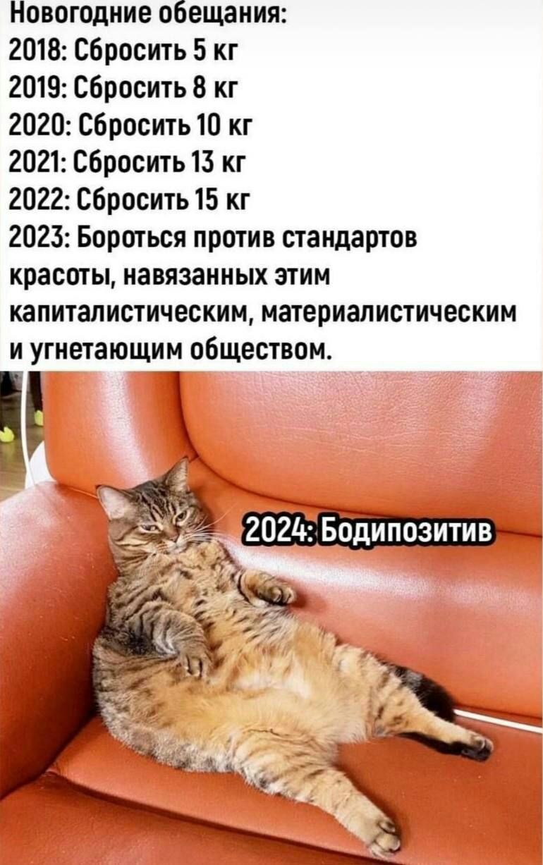 Новогодние обещания 2018 Сбросить 5 кг 2019 Сбросить кг 2020 Сбросить 10 кг 2021 сбросить 13 кг 2022 сбросить 15 кг 2023 Бороться против стандартов красоты навязанных этим капиталистическин натериалистическим и угнетающим обществом