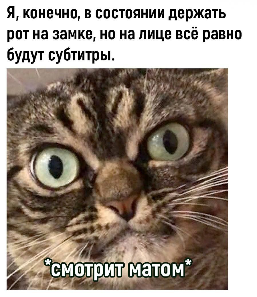 я конечно в состоянии держать рот на замке но на лице всё равно будут субтитры