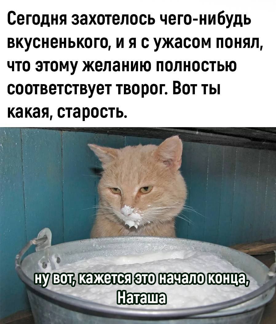 Сегодня захотелось чего нибудь вкусненького и я с ужасом понял ЧТО ЭТОМУ желанию ПОЛНОСТЬЮ СООТВЕТСТВУВТ ТВОРОГ ВОТ ТЫ какая старость ш иУ Щ_ конца