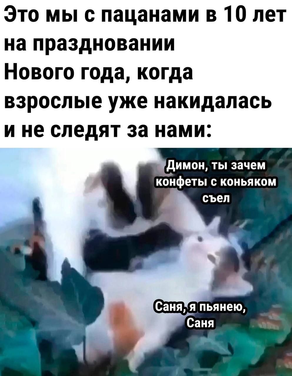 Это мы с пацанами в 10 лет на праздновании Нового года когда взрослые уже накидапась и не следят за нами димон ты зачем конфеты С КОИЬПКОМ