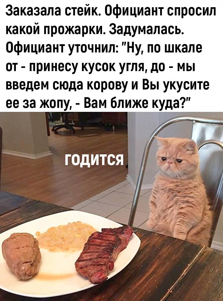 Заказала стейк Официант спросил какой прожарки Задумалась Официант уточнил Ну по шкале от принесу кусок угпя до мы введем сюда корову и Вы укусите ее за жопу Вам Ближе куда годится