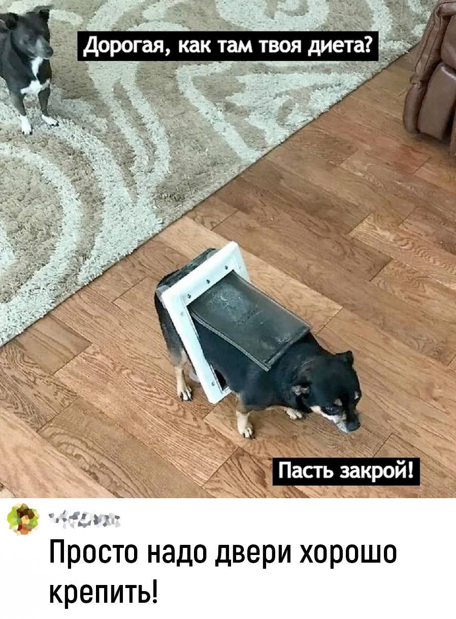 Дорогая как там твоя диета Р Просто надо двери хорошо крепить