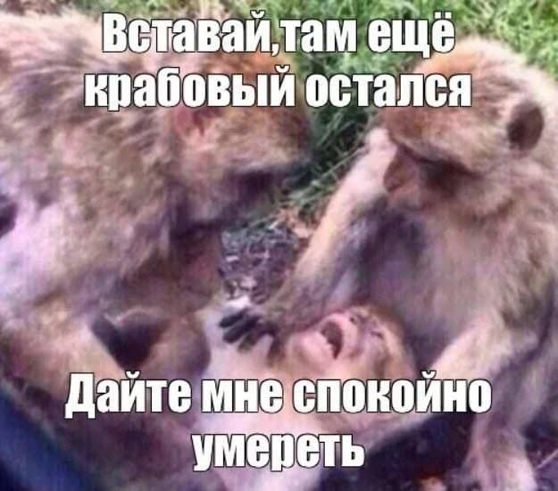 там ЁЩЁ Ё ипаііовый остапся ід Удайтшм спада ть Ш