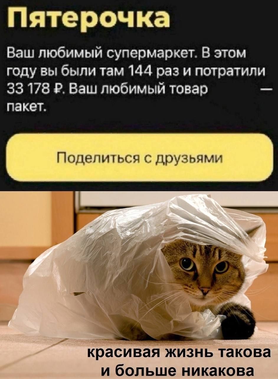 П т рочка Ваш любимый супермаркет В этом году вы были там 144 раз и потратили 33178 Р Ваш любимый товар пакет красивая ЖИЗНЬ такова И больше никакова