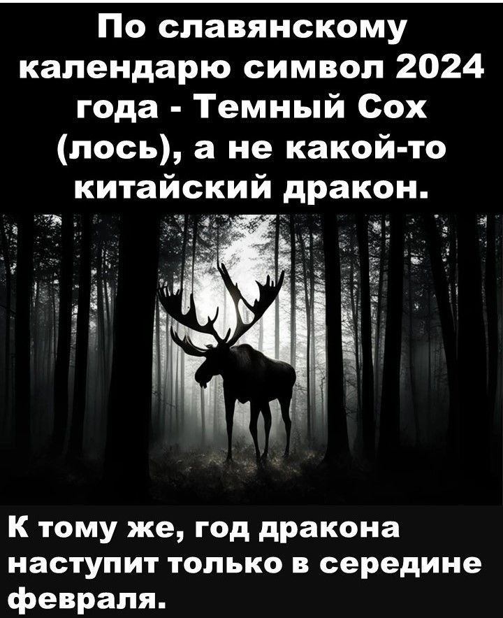 По славянскому календарю символ 2024 года Темный Сох лось а не какой то китайский дракон К тому же год дракона наступит только в середине февраля