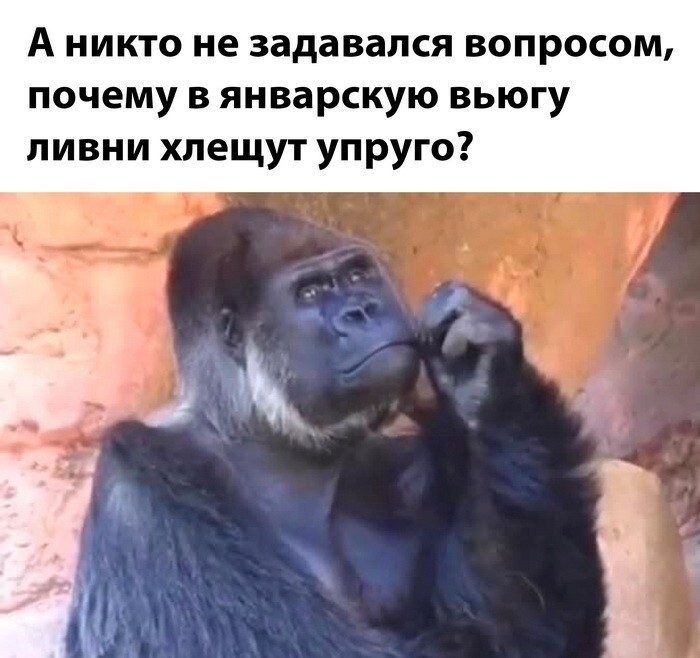 А никто не задавался вопросом почему в январскую вьюгу ливни хлещут упруго