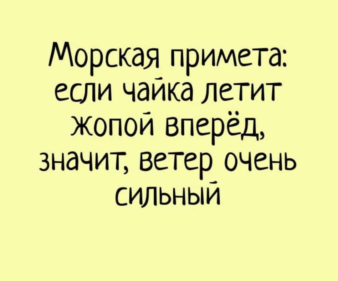 Морская примета если чаика летит жопой вперёд значит ветер очень сильным