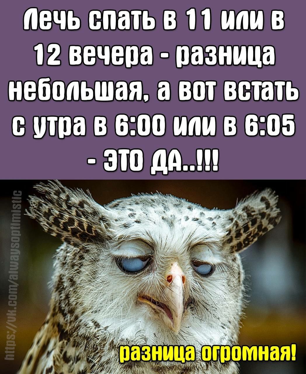 ВЧЬ спать В П В 12 ВВЧЕПВ пазница НЕБППЬШЗЯ а ВПТ встать с На 8 6110 или В 605 ЭТП Д