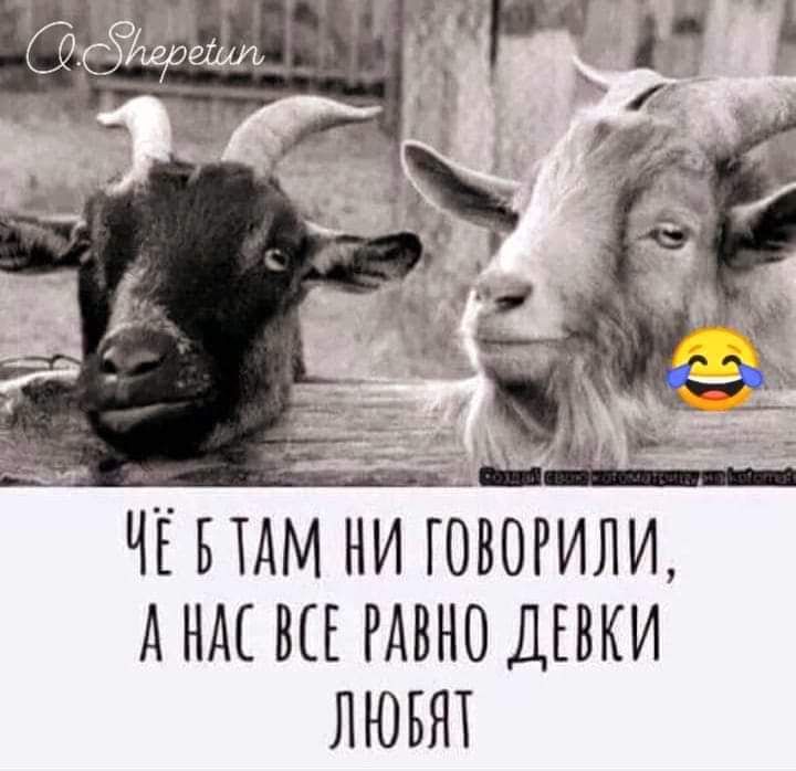 ЧЁ НАМ НИ ГОБОРИЛИ АНМ ВЦ РАВНО ДЕВКИ ЛЮБЯТ