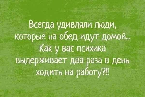 Всегда удивляли люди которые на обед идут домой Как у вас пситка выдерживает два раза в день ходить из работ