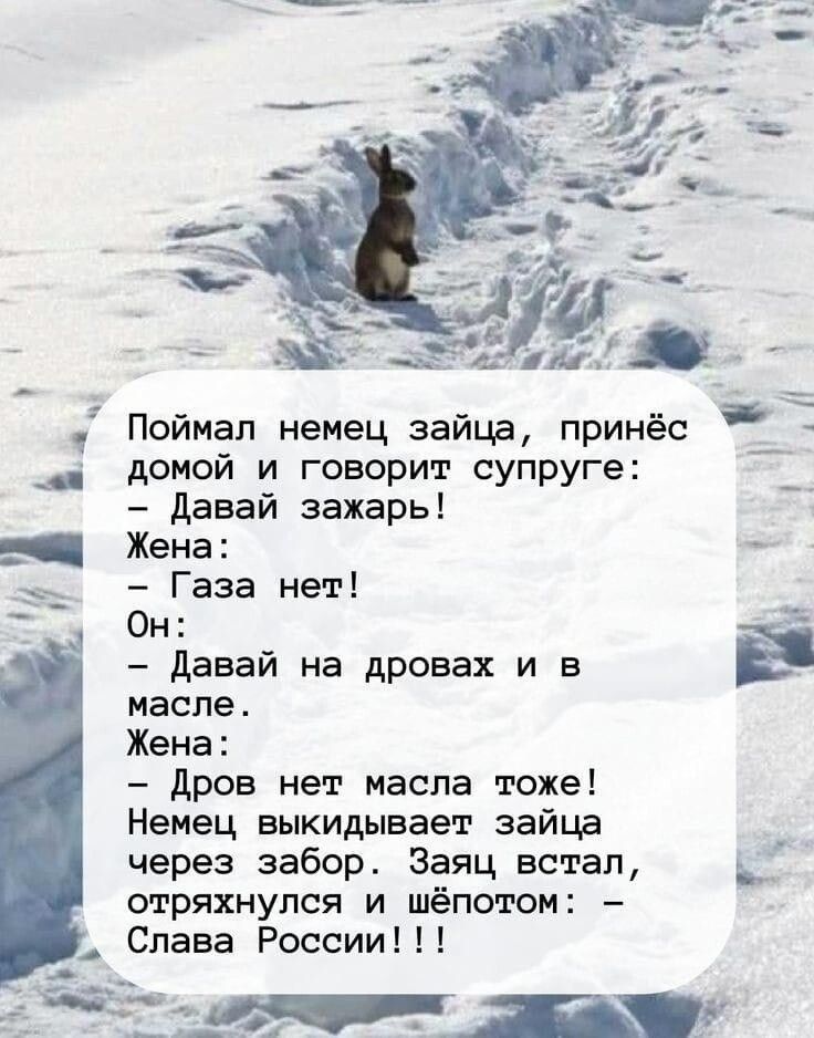 Поймал немец эвйцв принёс домой и говорит супруге давай зажарь Жена Газа нет Он давай на дровах и в масле Жена дров нет масла тоже Немец выкидывает зайцв через забор Заяц встал ъ_ отряхнупся и шепотом Слава России