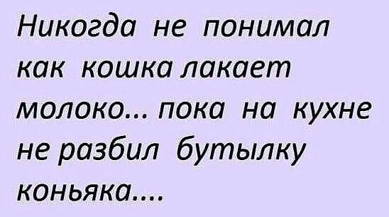 Никогда не понимал как кошка лакает молоко пока на кухне не разбил бутылку коньяка