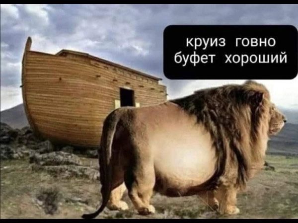 круиз говно буфет хороший