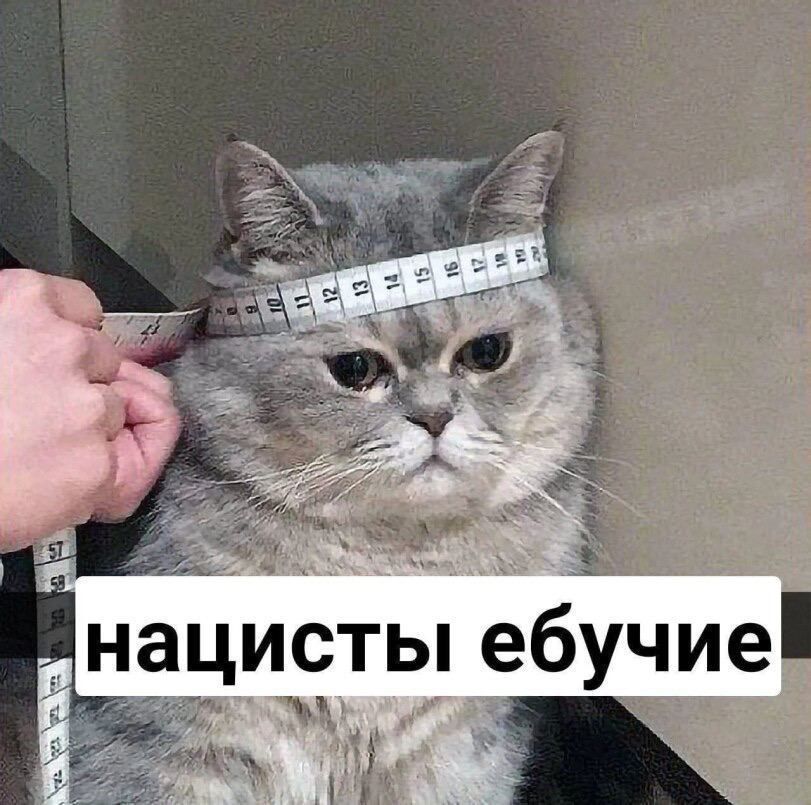 Цёбучие
