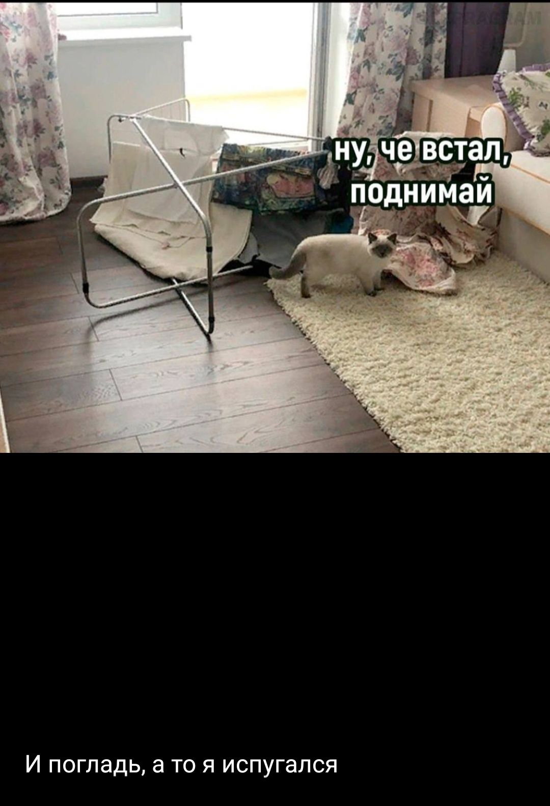 И погладь а то я испугался