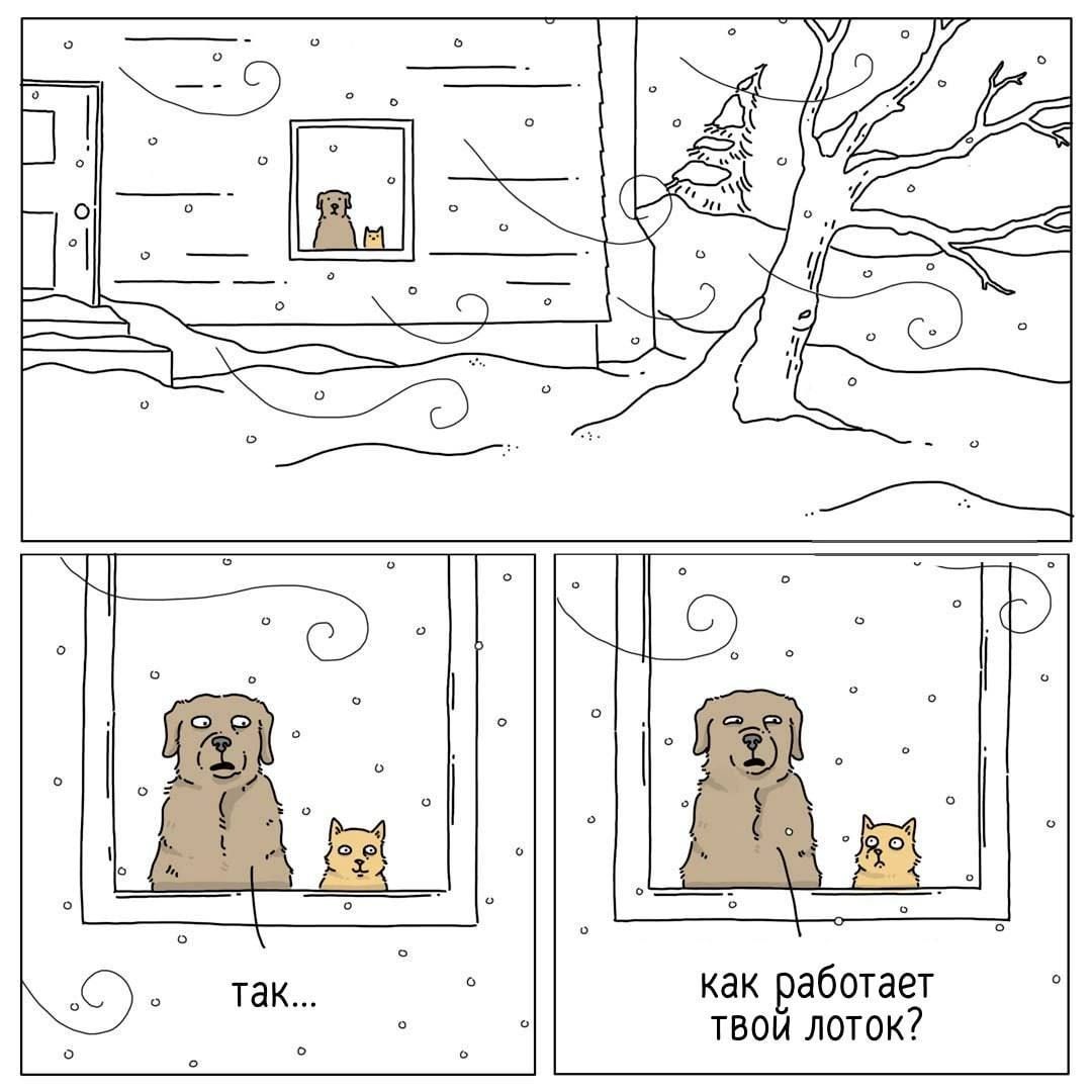гак как то вбегает лоток