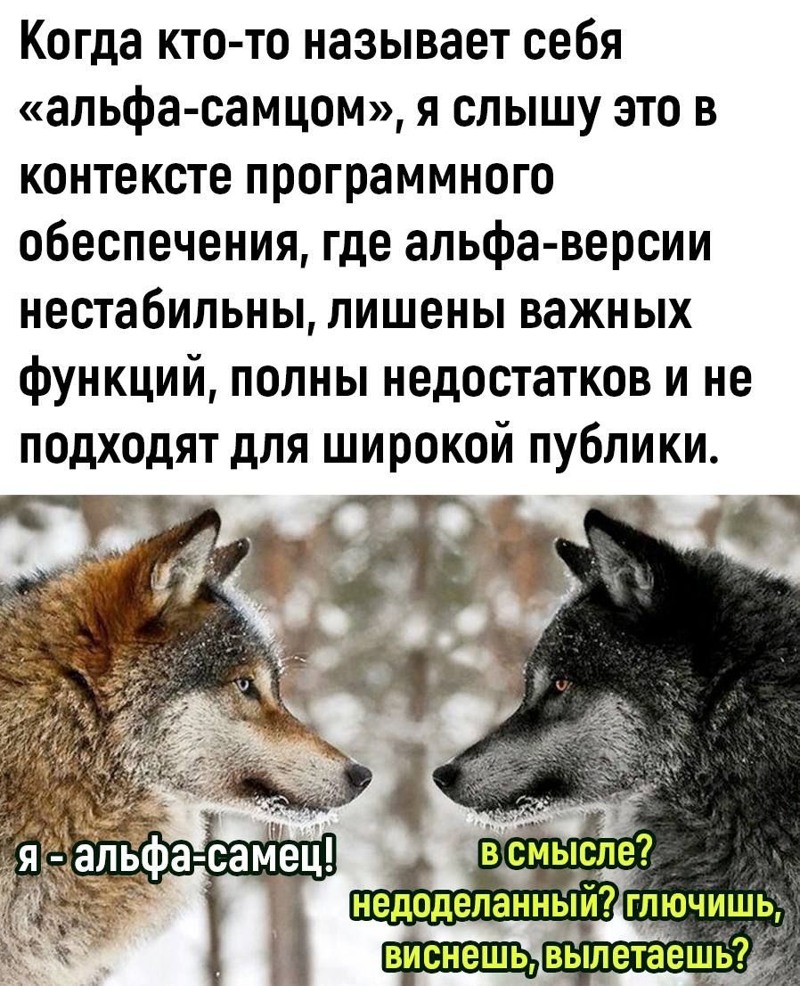 Когда кто то называет себя альфа самцом я слышу это в контексте программного обеспечения где альфа версии нестабильны лишены важных функций полны недостатков и не подходят для широкой публики