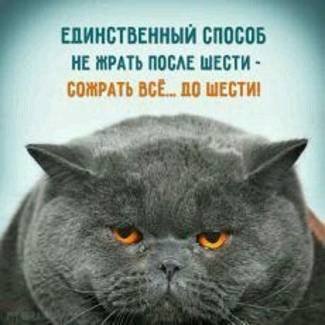 Единственный вписав не тить посв шести шрш щ и ист