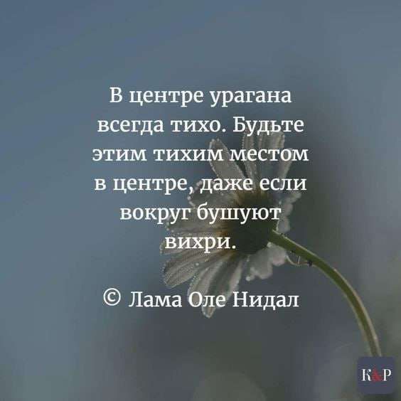В центре урагана всегда тихо Будьте этим тихим местом в центрегдаже если вокруг бушуют вихри Лама Оле Нидал Н Р