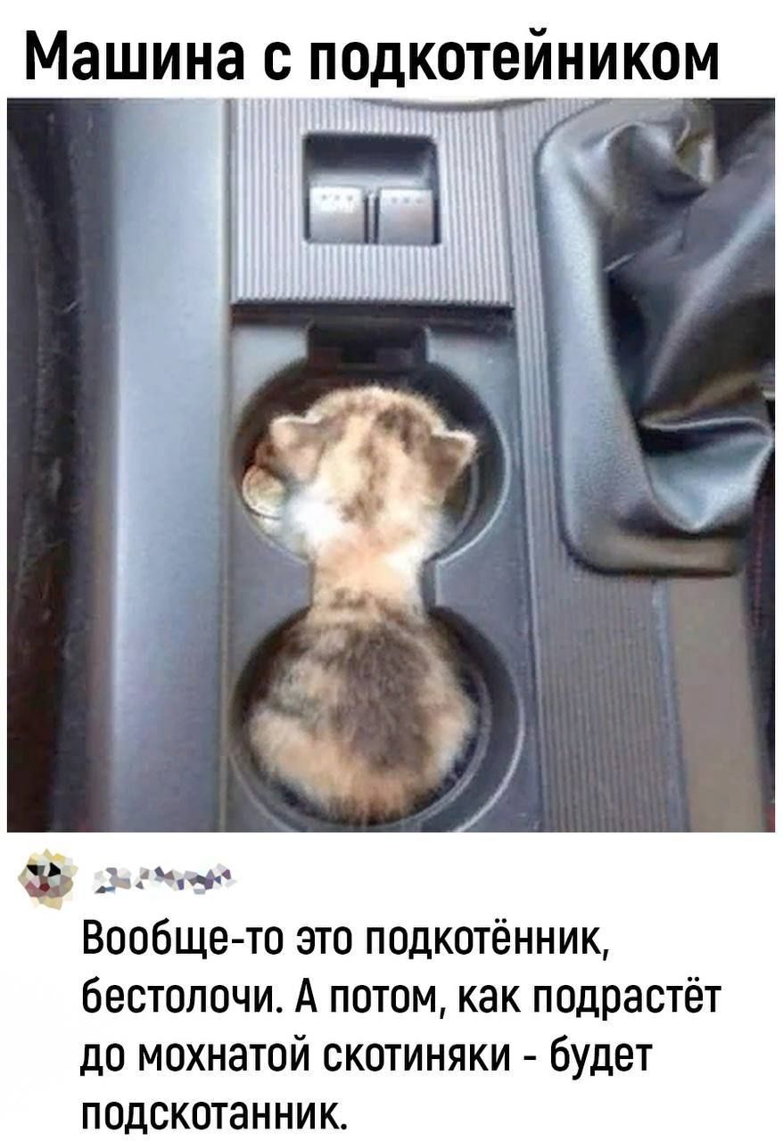 Машина с ПОдКОТЕЙНИКОМ мч Вообще то это подкотённик бестолочи А потом как подрастёт до мохнатой скотиняки будет подскотанник