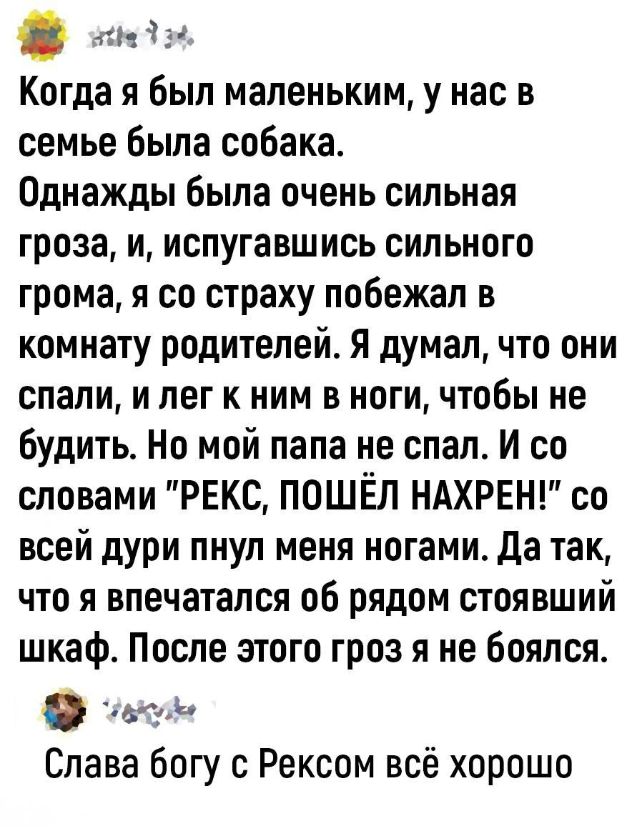 пн Чэд Когда я был маленьким у нас в семье была собака Однажды была очень сильная гроза и испугавшись сильного грома я со страху побежал в комнату родителей Я думал что они спали и лег к ним в ноги чтобы не будить Но мой папа не спал И со словами РЕКС ПОШЁЛ НАХРЕН со всей дури пнул меня ногами да так что я впечатался об рядом стоявший шкаф После этого гроз я не боялся ига Слава богу Рексом всё хор