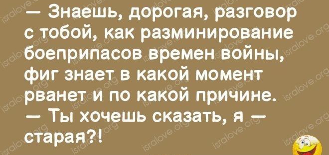 _ _ яшма Знаешь дорогая разговор с тобой как разминирование боеприпасов времен войны фиг знает в какой момент рванет и по какой причине Ты хочешь сказать я старая