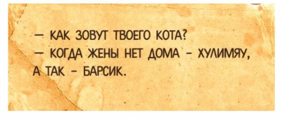 Как зовут вашего кота. Как зовут кота когда жены нет дома. Как зовут твоего кота когда жены нет дома Хулимяу а так Барсик. Хулимяу анекдот. Как зовут твоего кота.