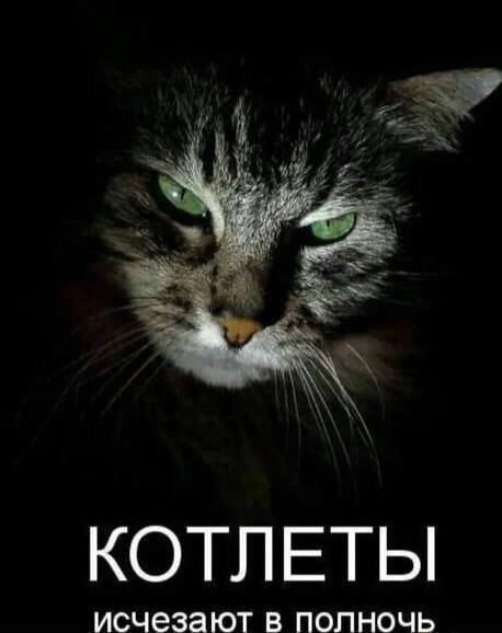 КОТЛЕТЫ ИСЧЭЗЭ ЮТ В полночь