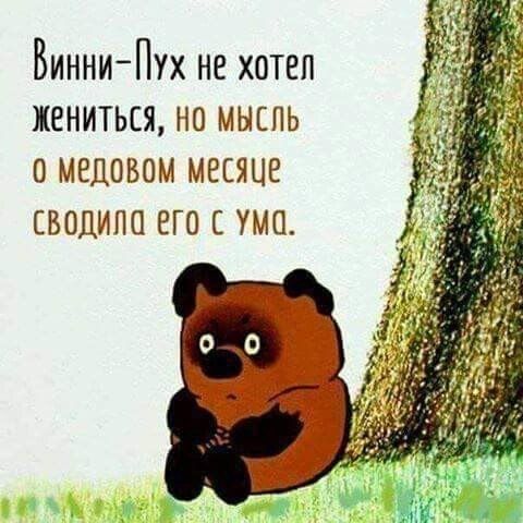 Винни Пух не хотеп жениться но мыспь омедпвом месяце сводила его с ума