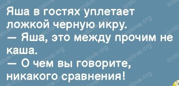 Яша в гостях уплетает ложкой черную икру Яша это между прочим не каша О чем вы говорите никакого сравнения