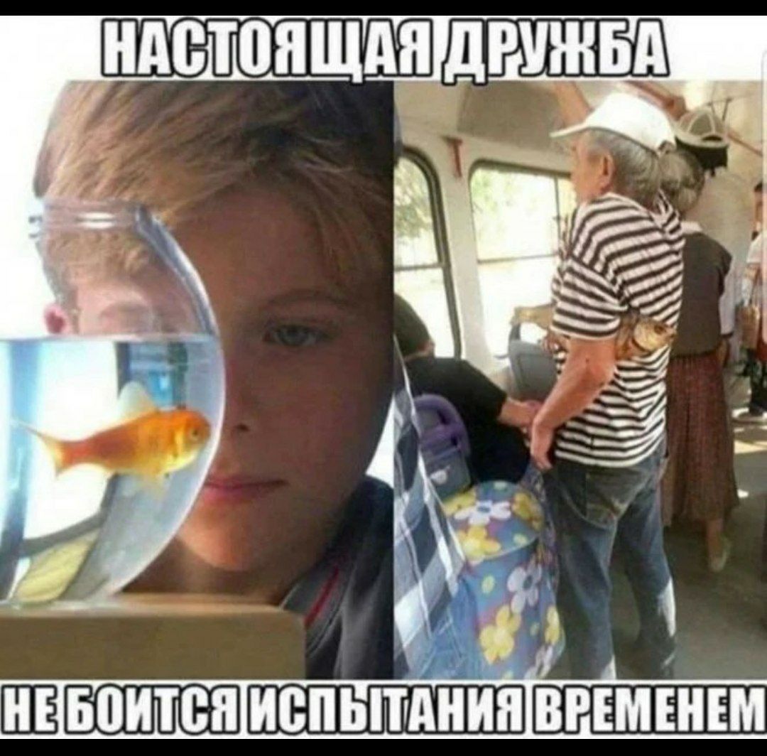 НАСТОЯ ЩРЛБЁА Ё боомй Г