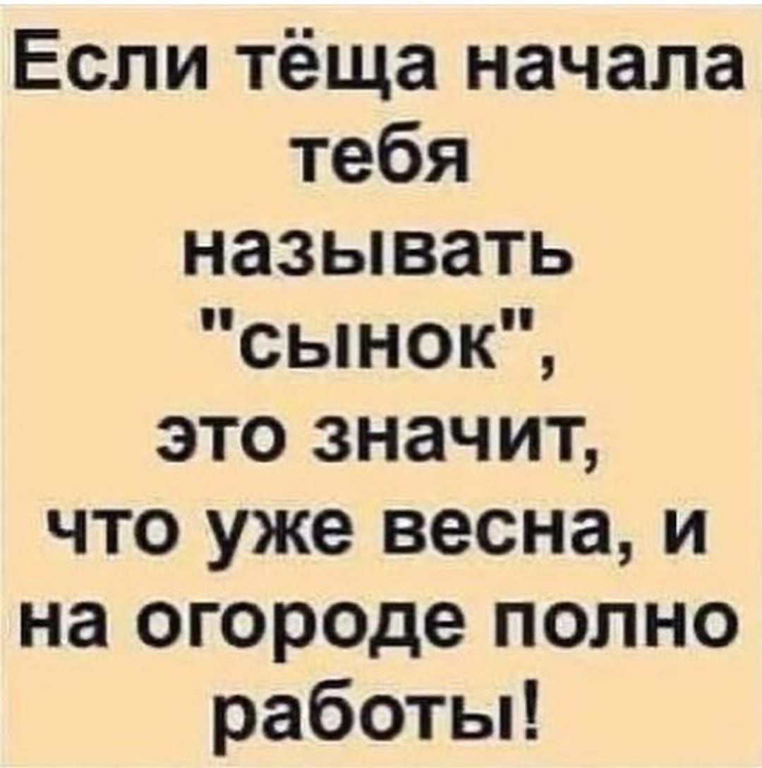 Если тёща начала тебя называть сынок это значит что уже весна и на огороде полно работы