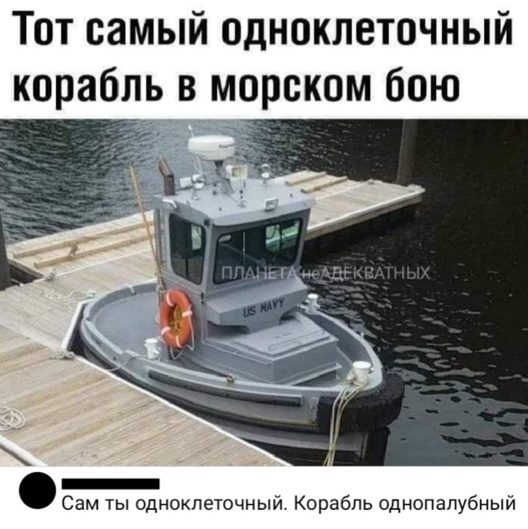 Тот самый одноклеточный корабль в морском бою Сам ты Одникпеточный Корабль однопапубный